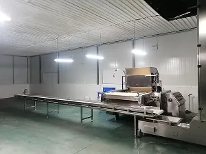 تركيب المعدات وخطوط الإنتاج في مواقع عملاؤنا