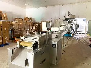 تركيب المعدات وخطوط الإنتاج في مواقع عملاؤنا