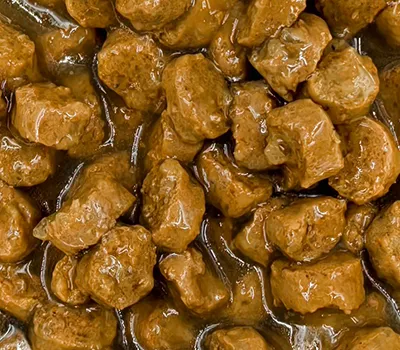 خطوط إنتاج أطعمة رطبة للحيوانات الأليفة